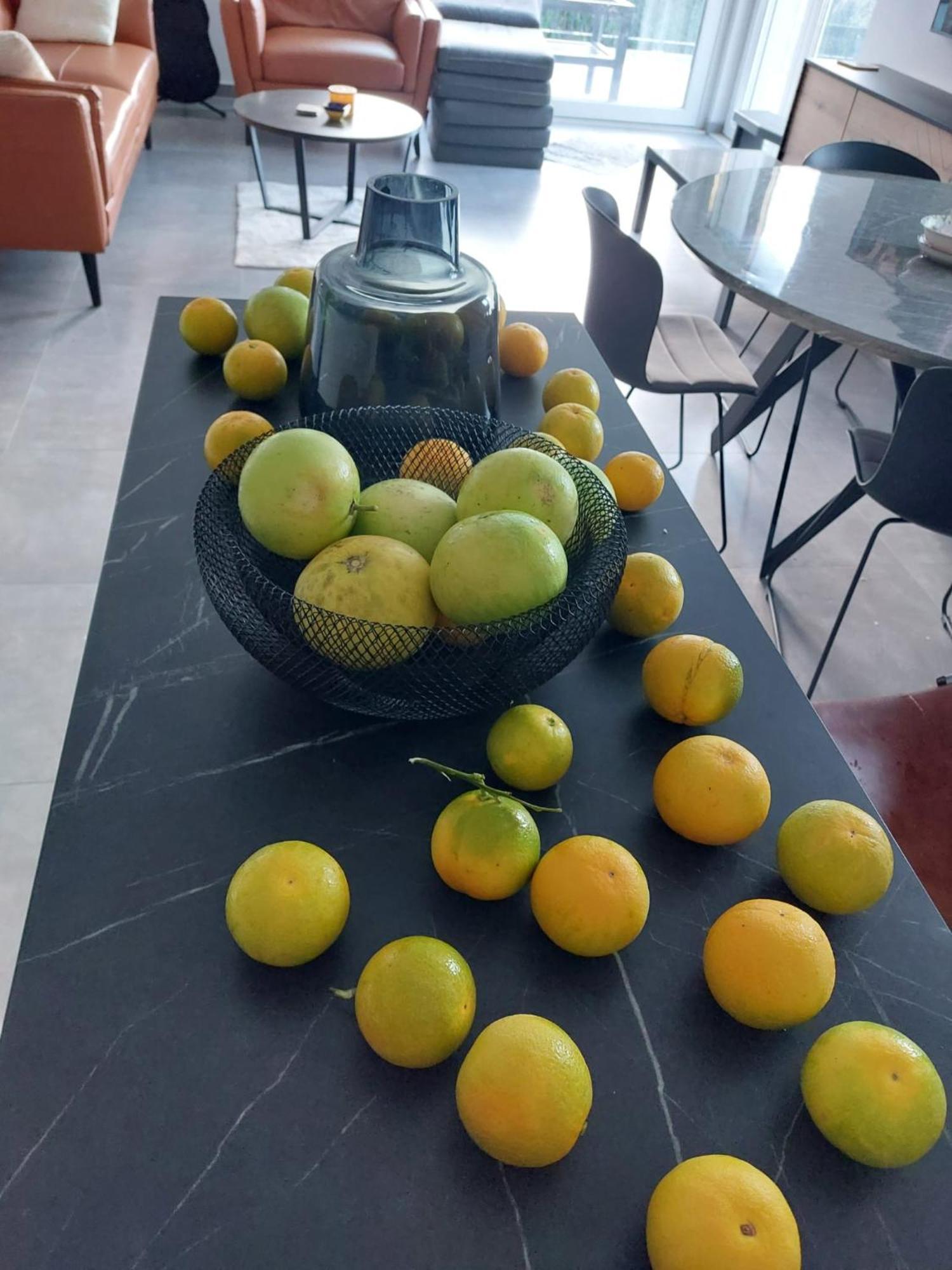 Appartement Bella Arte Dubrovnik Komolac